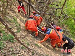 老人摘榆钱坠沟 消防员巧做简易担架救人